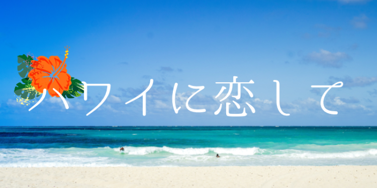 cook 今日なに作ろ？